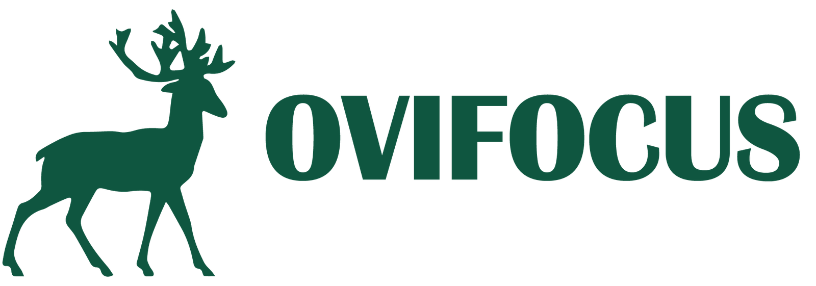 OVIFOCUS